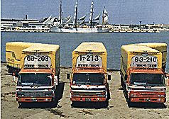 �O�i�^���������